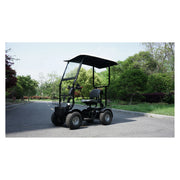 Green Transporter Cheeta Ninja – canopy version on the road