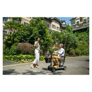 Paiseec D3 Lightweight Folding Mobility Scooter – out together